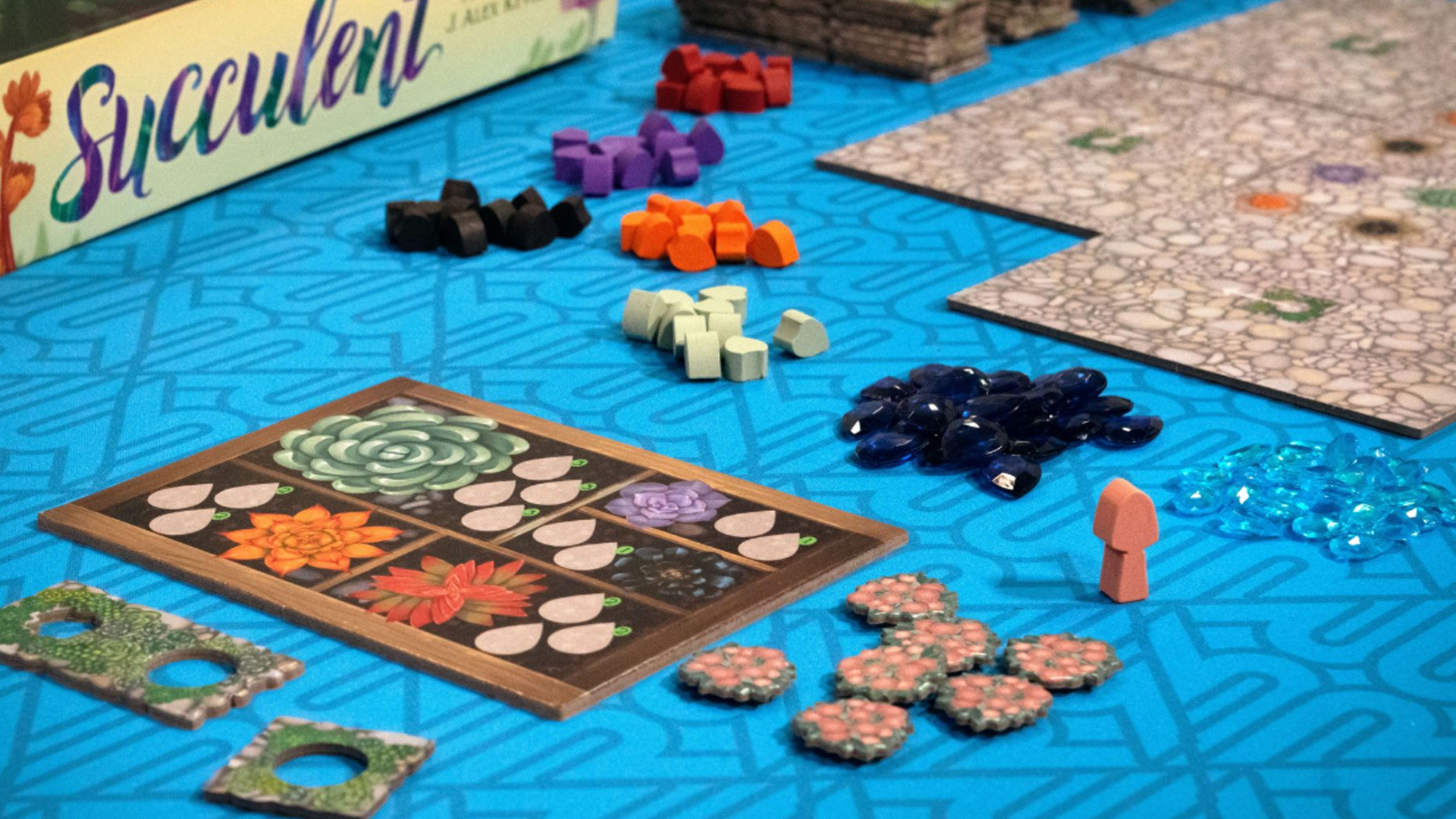 Succulent_boardgameimage.png
